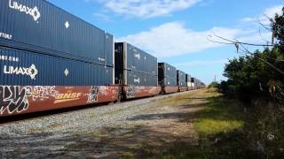 FEC Train 202 #1748
