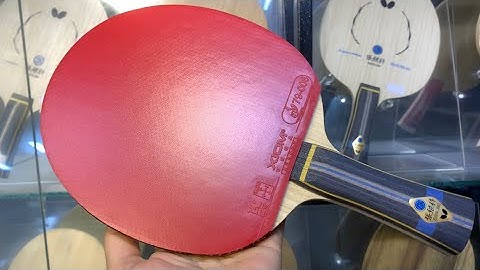 Cốt vợt Zhang Jike ALC hàng nội địa Nhật  + Xiom Vega Europe + Butterfly Sriver EL nđ Nhật