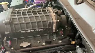 Redeye Challenger With A Maggy 2650 1150Hp