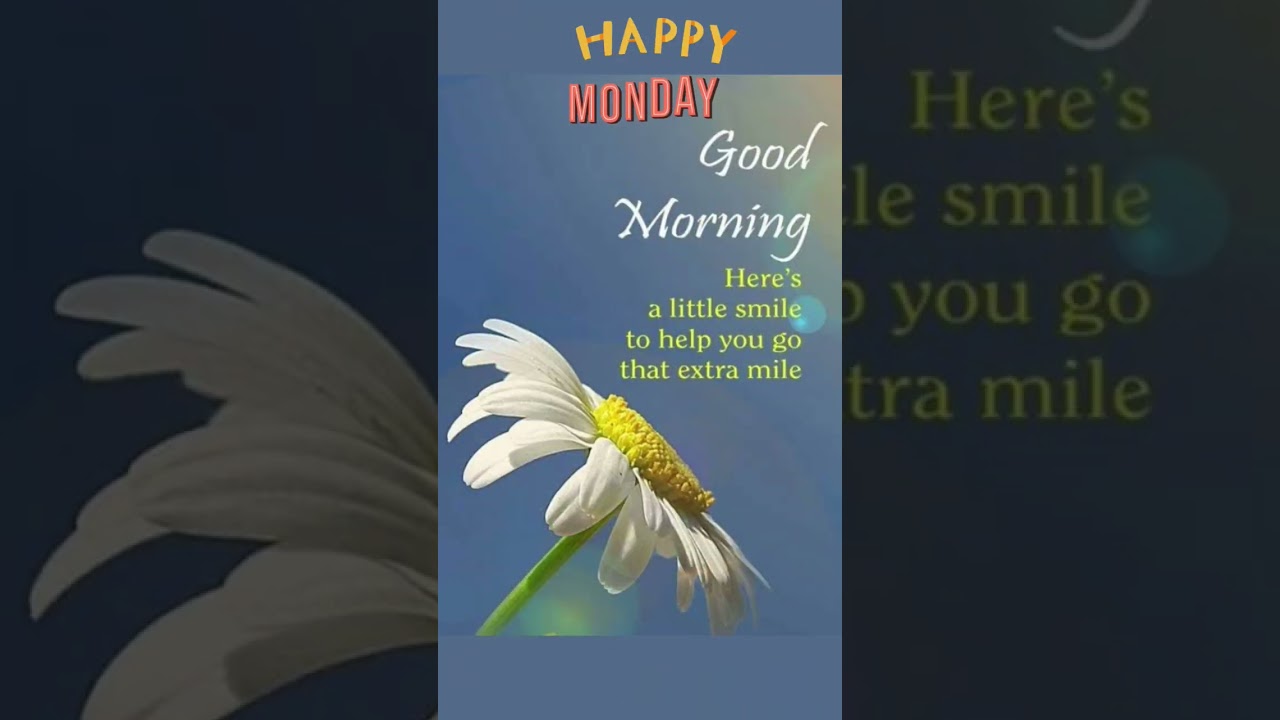 good morning video 🌻 good morning status video 