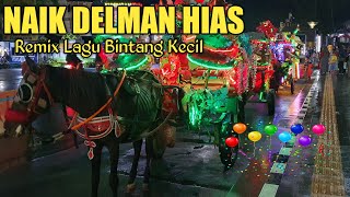 NAIK DELMAN ISTIMEWA ⁉️ Lagu Bintang Kecil ⁉️Lagu Anak Terpopuler