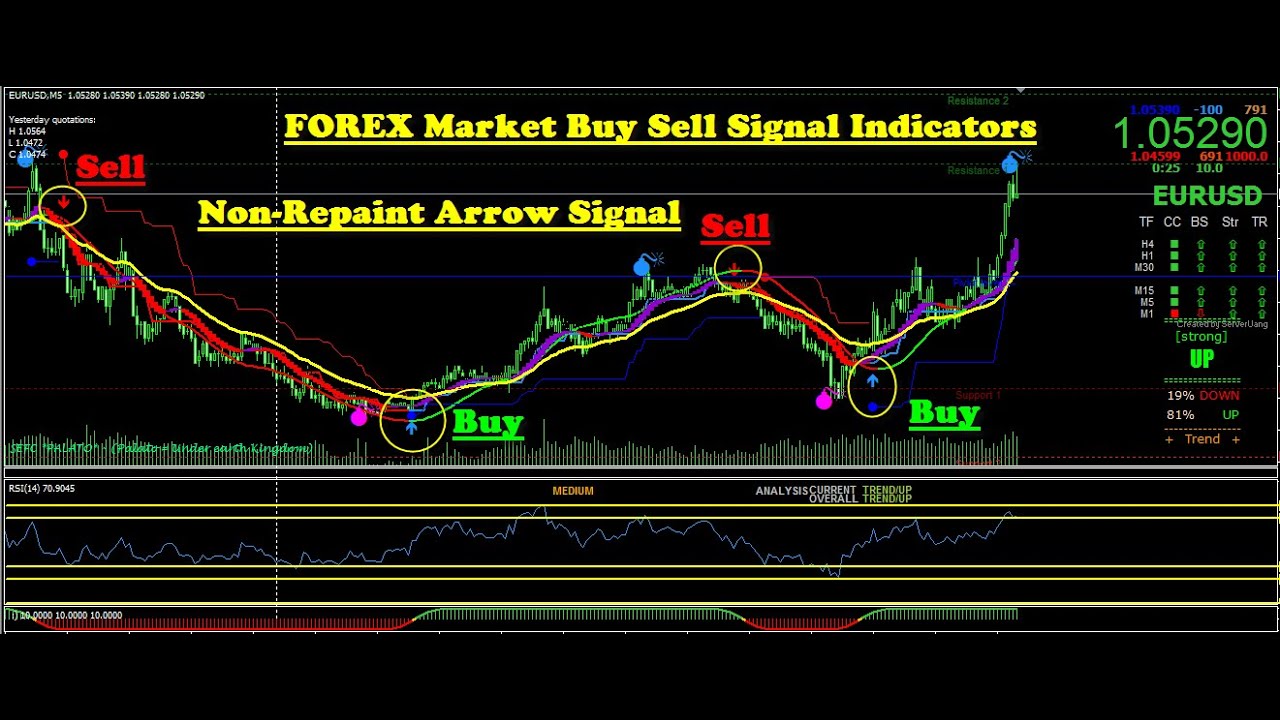 FOREX Market Buy Sell Signal Software for Beginners | FX Trading System for Beginners | MT4 Signals