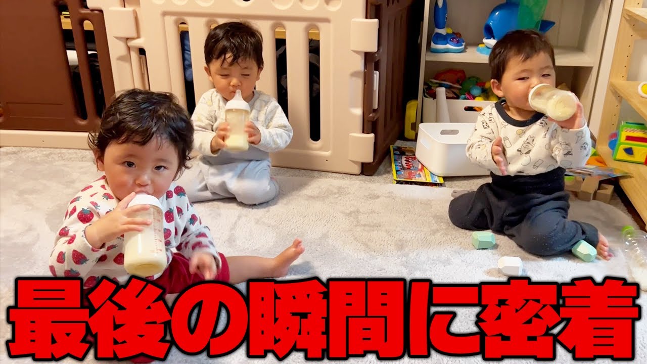 とうとう、三つ子の最後のミルクの時間がやってきました