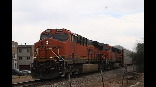 BNSF 4238 leads a Northbound manifest past Griffith Street in Louisville, Colorado