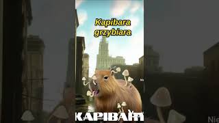 ajakie Kapibary!