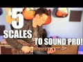FIVE ESSENTIAL Guitar Scales That YOU Need To Know!