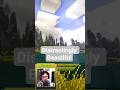 Distracted in Beauty | Vintage Story | #vintagestory #enjentek #gaming #minecraft #twitch