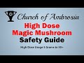 High dose magic mushroom safety guide 5 grams to 50