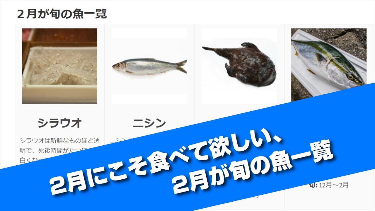 2月にこそ食べて欲しい 2月の旬の魚一覧 Youtube