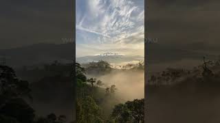 Lirik Lagu Lalekno Tresnamu