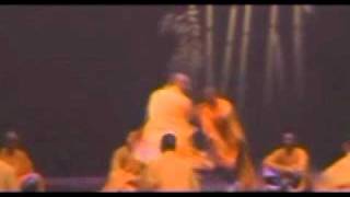 Celebrity shaolin kungfu performance (taichi) Net Worth