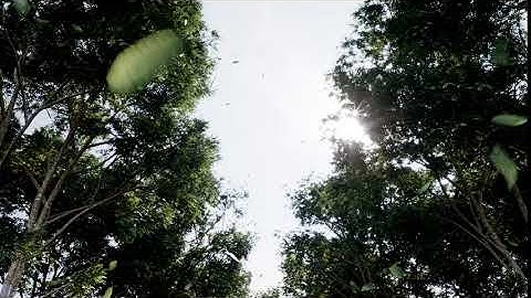 3dmax animation tree CORONA render