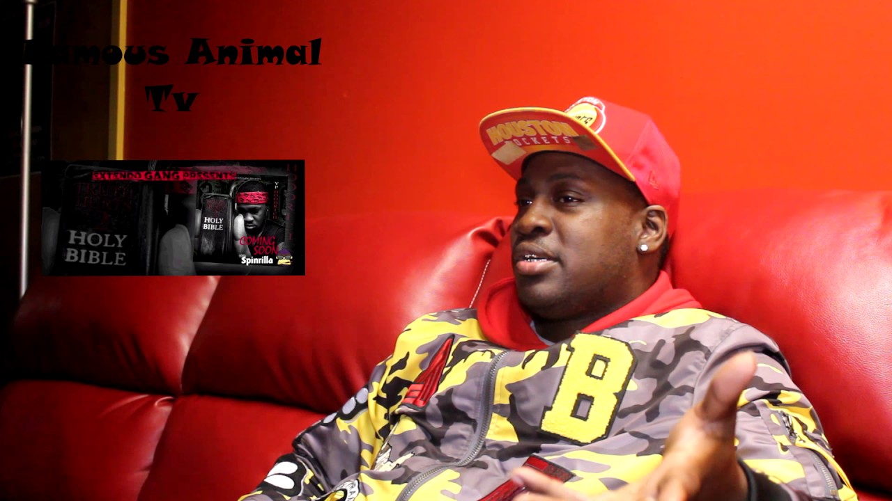 Yp HoodRich Famous Animal Tv YouTube