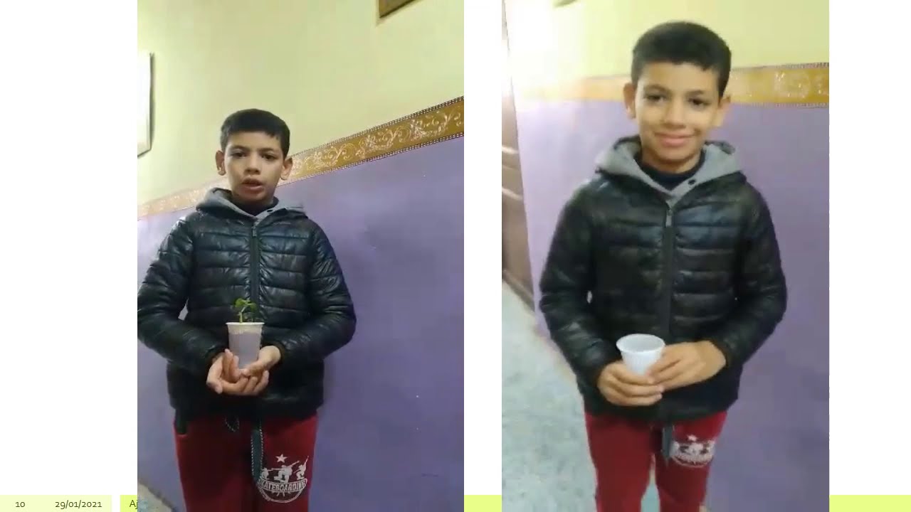 مشاريع 1 متوسط