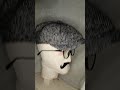 Кепка восьмиклинка в ёлочку #кепкавосьмиклинка #хулиганка