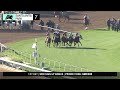 Twirling Point wins Race 7 on Friday, March 6 at Santa Anita Park