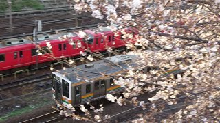 [桜コラボ！] JR東海&名鉄 金山駅付近 列車走行シーン集 (警笛付き)