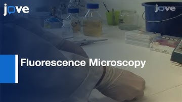 Single-Cell Analysis Of Bacillus subtilis Biofilms By Flow Cytometry l Protocol Preview