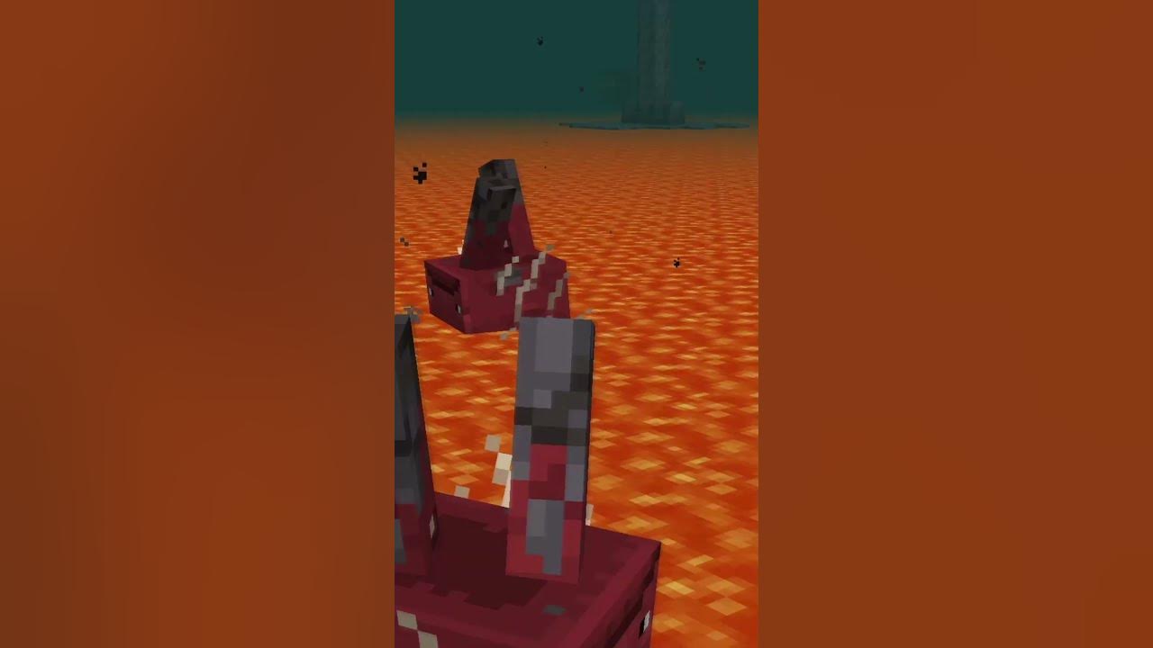 What Happens If You Rename A Strider To Dinnerbone In Minecraft what-happens-if-you-rename-a-strider-to-dinnerbone-in-minecraft