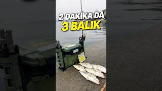 Mera Coştu 2 Dakikada 3 Balık