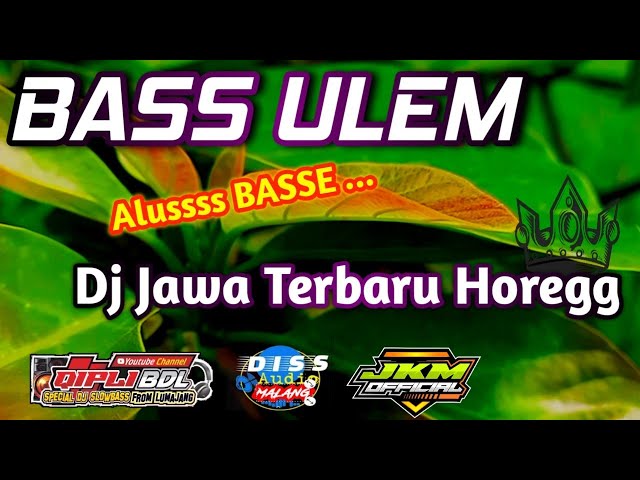 DJ BASS ULEM|dj banyuwangi terbaru full bass class=