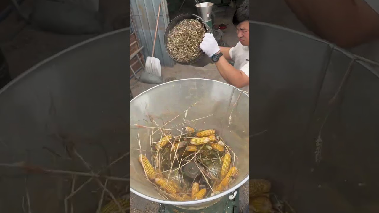 Multi-Purpose Pellet Machine Line | Biomass Pellet Machine | Plastic Granulator |