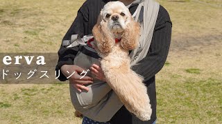 【erva】最高の犬用抱っこ紐ドッグスリングを見つけました｜アメリカンコッカースパニエル