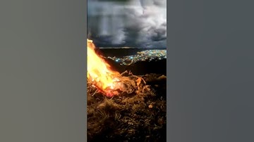 قرأن الفجر وقت الفجر، وصلاة الفجر من النعيم المعجُّل في الدنيا  ما تيسر من سورة يونس" ابدأ بها يومك