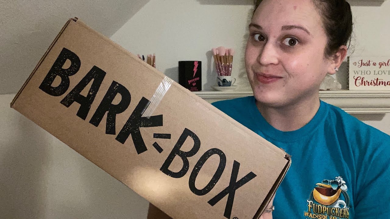 December 2020 BarkBox // Home Alone // Super Cute!!!