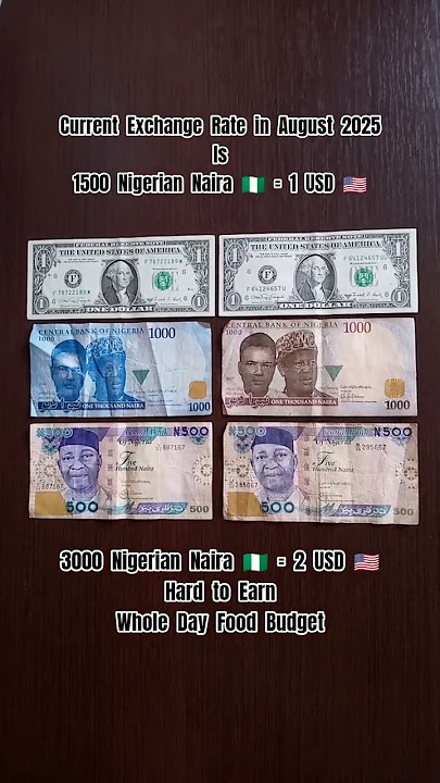 Survive on 3000 Naira 🇳🇬  ( $2 ) per Day in Nigeria after University Degree Received 🎓 2025