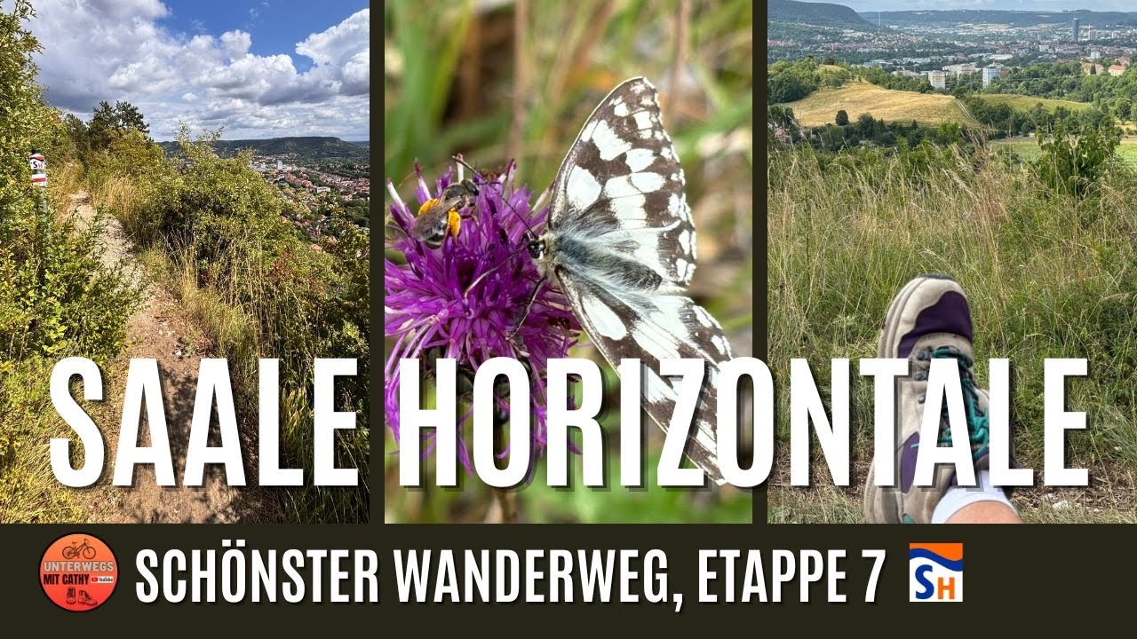 🥾Hummel-S.x, eigenwillige Kirschernte, wilde Schlange, Premium Wanderweg Saalehorizontale, Etappe 7