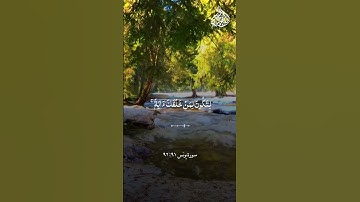 ماتيسر من سورة يونس #القارئ_إبراهيم_عبدالرازق #قرآن #foryou #fypシ #fyp #viral #اذكار #القرآن_الكريم