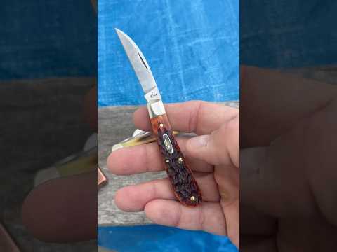 Case XX Gent Jack in Chestnut Bone & CV Steel   