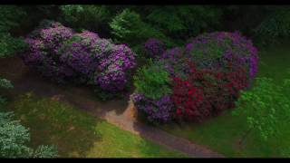 Het Rondeel bij Gooilust natuurmonumenten 's-Graveland