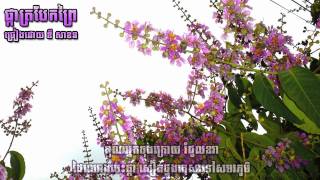 Video thumbnail of "ផ្កាត្របែកព្រៃ ឌីសាខន Pka trobaek prey - Dy Sakhon"