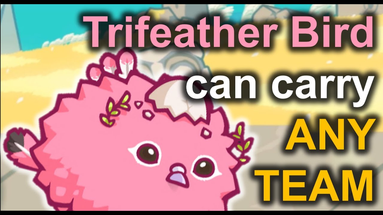 This Bird Can Carry ANY TEAM YouTube