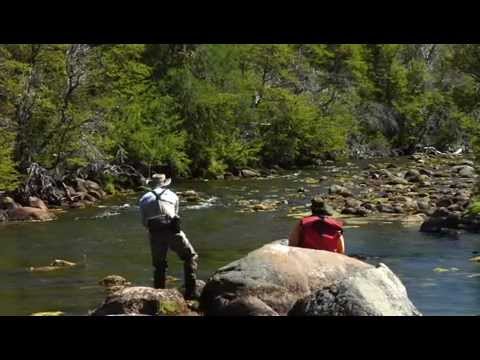 Fly Fishing-გაშოლტვით თევზაობა