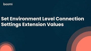 Set Environment Level Connection Settings Extension Values