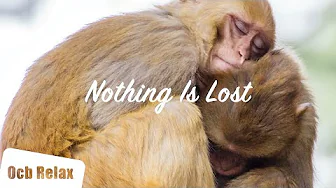 Ocb Relax - Nothing Is Lost