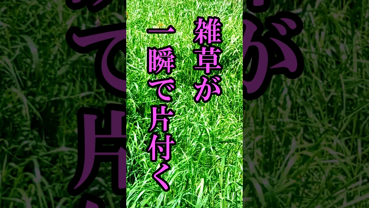 雑草があっという間に片付く 84歳の発明#自然農#雑草対策 - YouTube