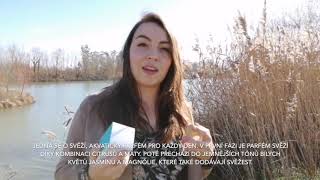 Acorelle Lotus Blanc