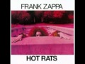 Frank Zappa - The Black Page #2