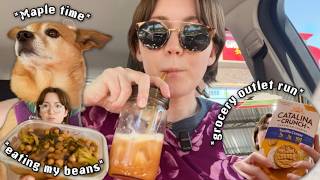 vlog / DITL❣️ walking Maple, grocery outlet run, & what I've been eating 🌱