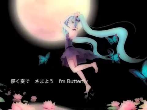 【初音ミク(とく)】Butterfly【オリジナル曲】