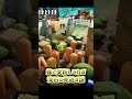 🐝蜂で受粉してれば流石に見逃す説🐝【めっちゃカメレオン】