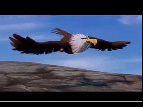 Escena Aguila Poderosa (never gonna give you up) | Angry Birds La Pelicula  - YouTube