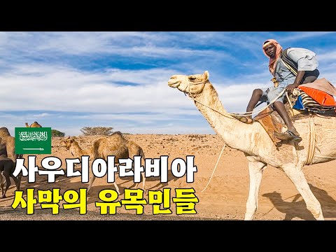 물없이 척박한 사막을 걷다보면 유목민을 만날 수 있을까 [사우디아라비아 여행 EP.9]🇸🇦
