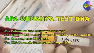 Apa gunanya test DNA
