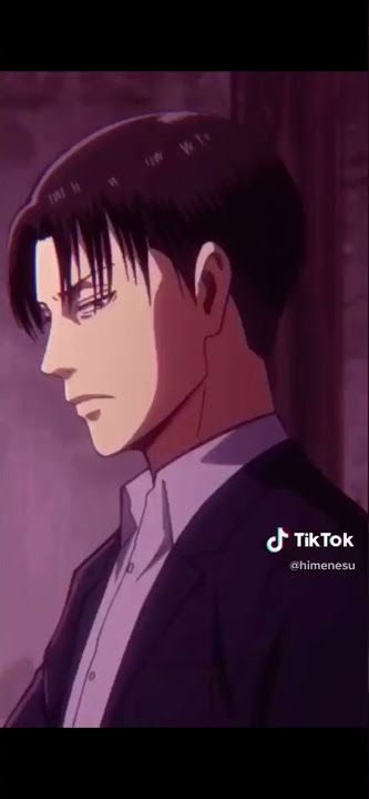 Levi edit