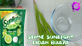 Cara Membuat Slime Dengan 2 Bahan Yaitu Sunlight Dan Lidah Buaya